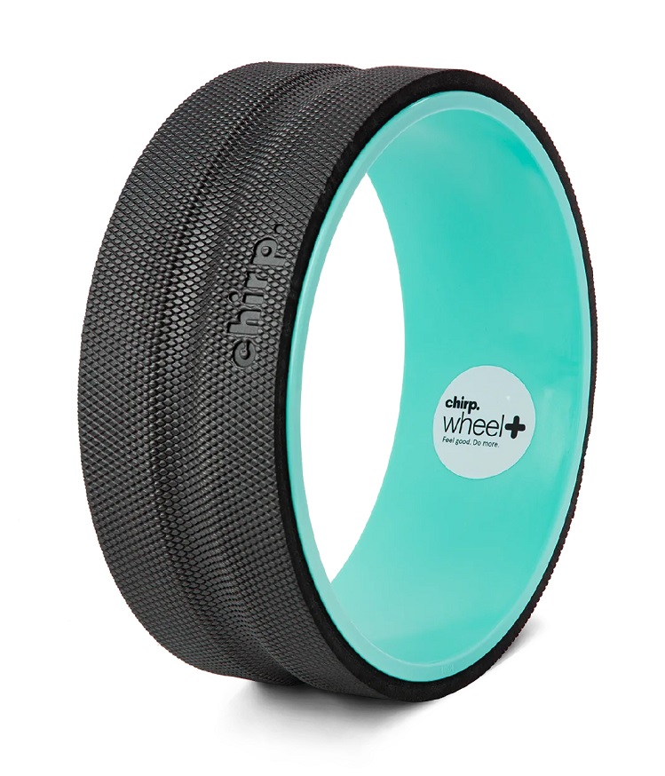Chirp Wheel+ 12-inch Back Roller
