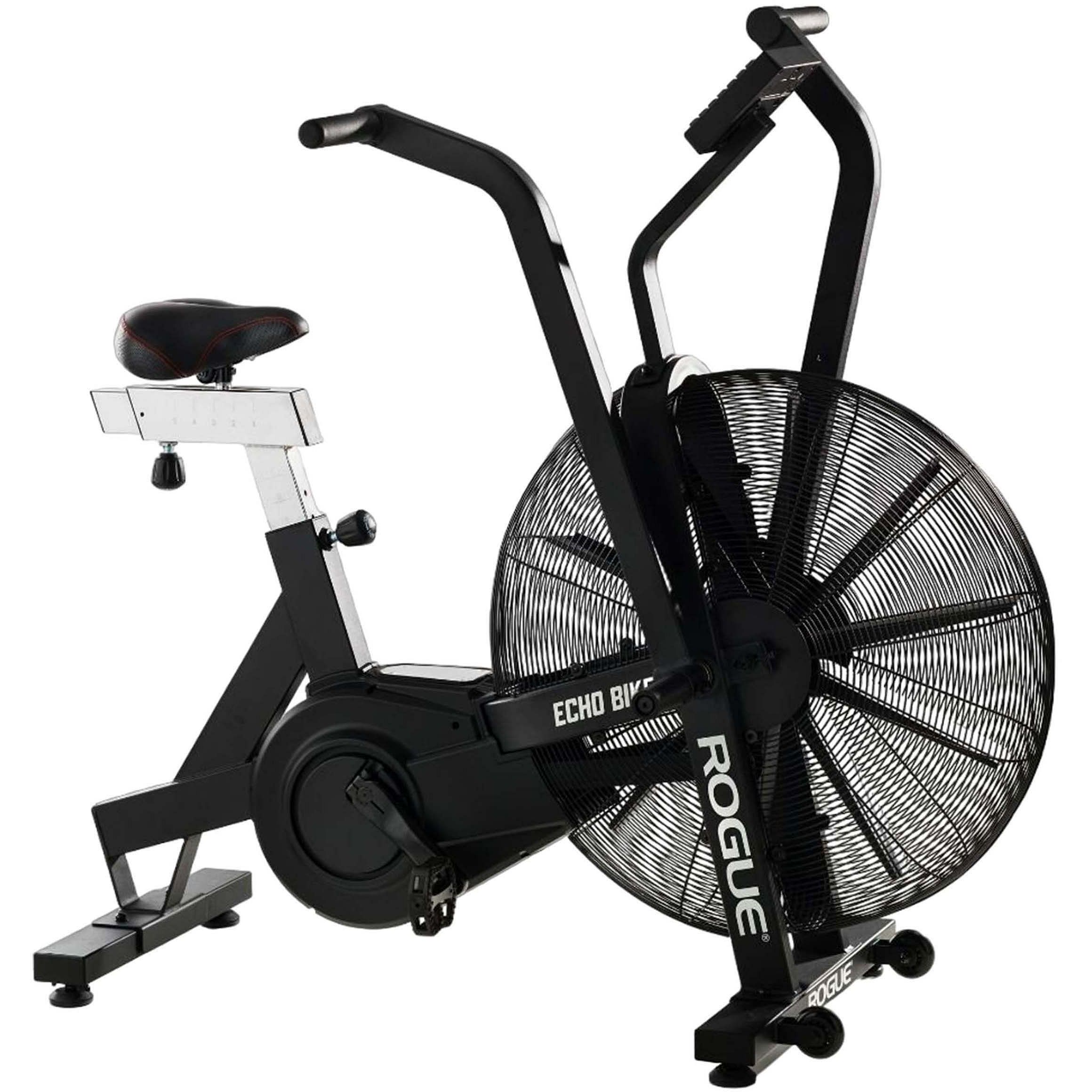 Rogue Echo Bike